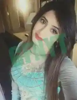 Udaipur Call Girls 199+ Profile Available Get On-Time Delivery
